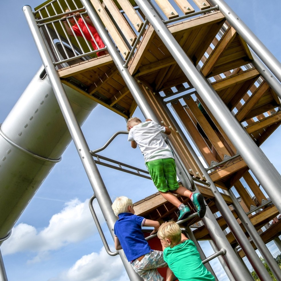 drentse koe speeltuin.jpg