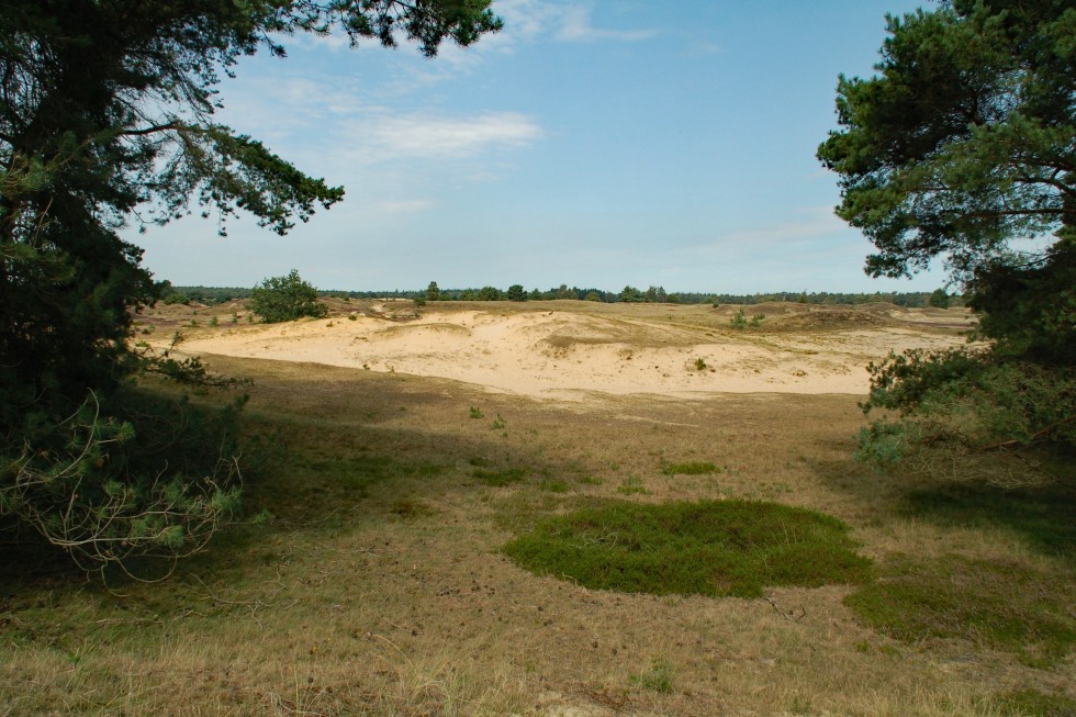 nature-3341236.jpg