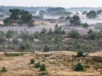 karin-broekhuijsen_brl9284.jpg