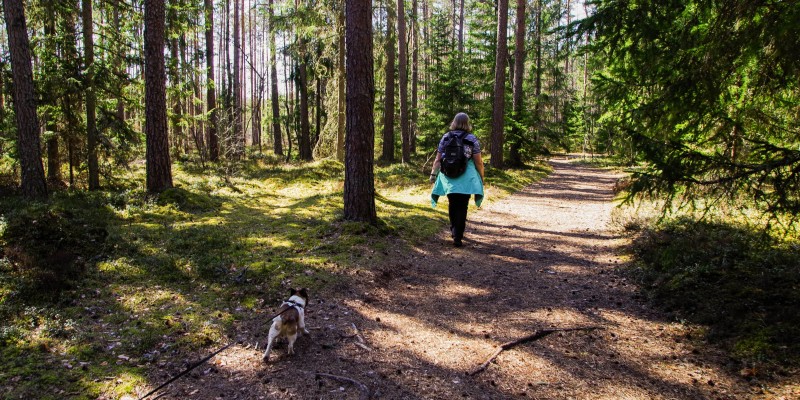 Wandelen met hond.jpg
