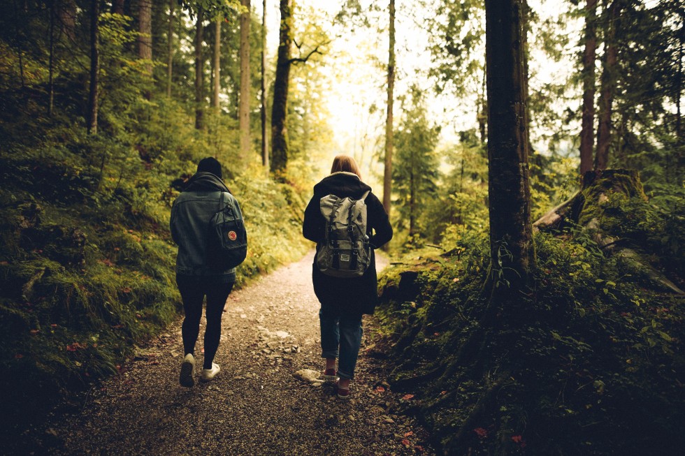 Wandelen.jpg