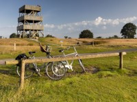 karin-broekhuijsen_brl9374.jpg