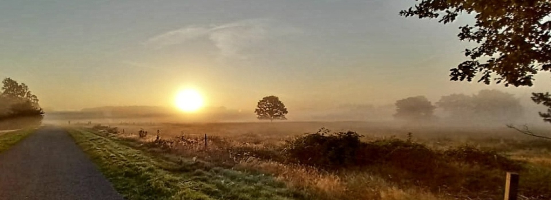 Zonsondergang Streng.jpg