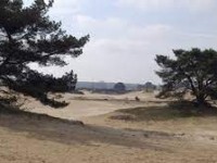 Kale duinen.jpg