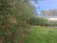41059.jpg