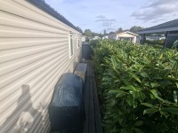 41057.jpg